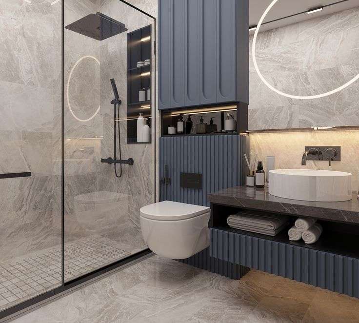 toilet and bathroom design